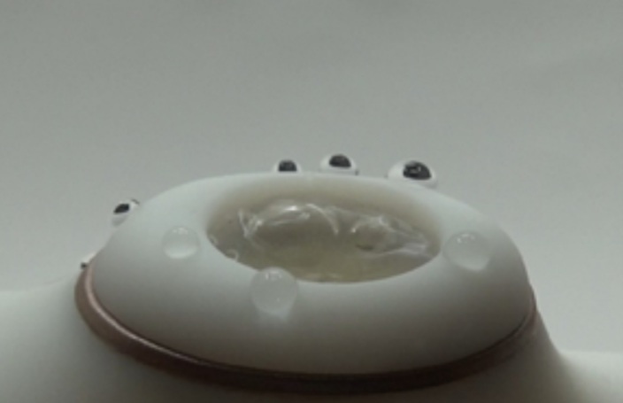 Product: luchtdruk vibrator Satisfyer Pro 4 Couples